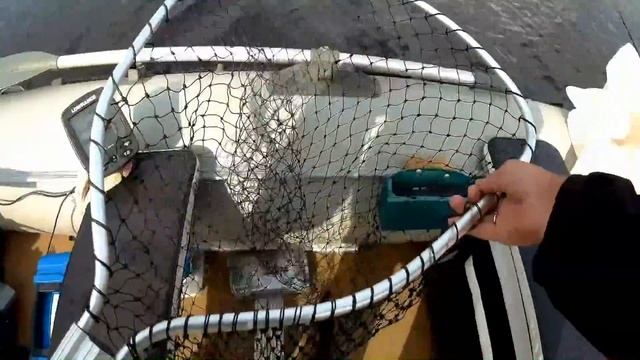 Ловля на колебалку. Делфи