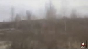 Масовий видобуток бурштину Клесів  урочище Азалія