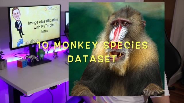 [0] Image classification with PyTorch tutorials - Intro смотреть онлайн