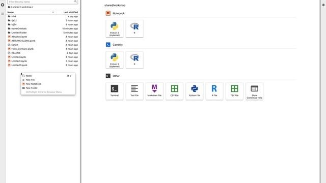 JupyterHub - Logging In and Creating a Notebook смотреть онлайн