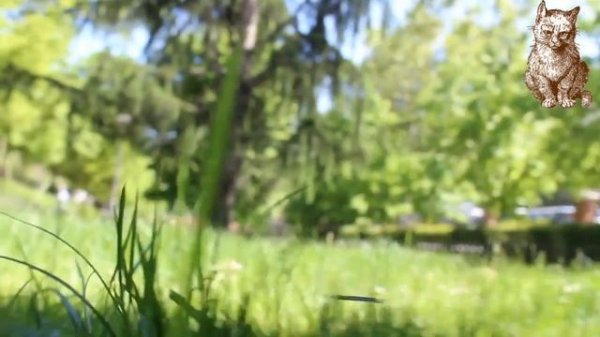 Missing 411 и Дэвид Полидес