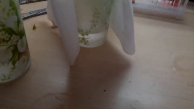 Как вырастить кристалл из соли! смотреть онлайн