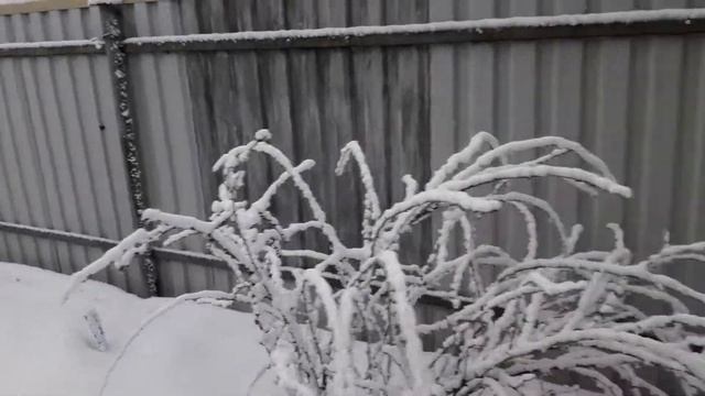 Какой чудесный день смотреть онлайн