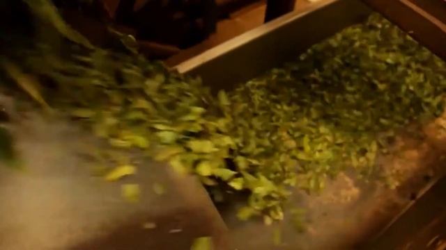 Чай. Какой чай самый полезный? Как выбрать чай? Виды и сорта | Да!Но. смотреть онлайн