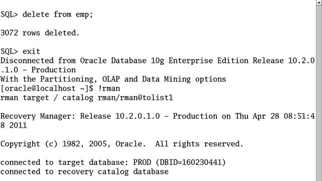 Rman taking cold backup with script & Disaster recover смотреть онлайн