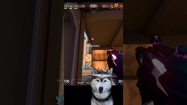 The best Cypher Setup for Fracture A site ✨ #shorts смотреть онлайн