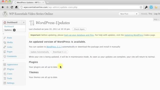 Updating WordPress, Themes, and Plugins смотреть онлайн