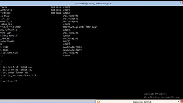 1 Standard Audit In Oracle 11g смотреть онлайн