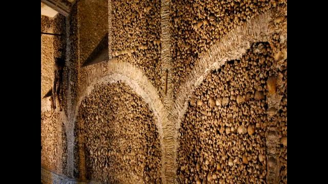 Европа каннибалов смотреть онлайн