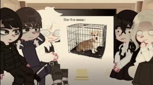 -[Реакция «Tiny bunny» на самих себя 1/?]-