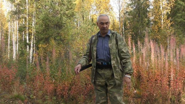 Анатолий Попов. Как наткнулись на след РГ на Тиманском кряже. смотреть онлайн