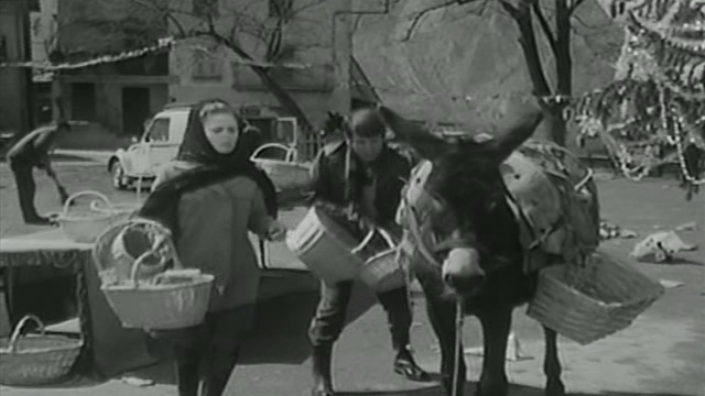 Belle et Sébastien - Episode 01 - La Rencontre - 1965 смотреть онлайн