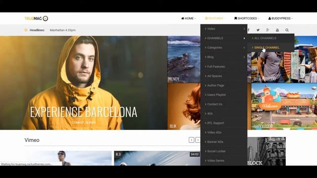 TrueMag WordPress Theme смотреть онлайн