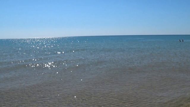 Шоу диких дельфинов в станице Благовещенская. Съемка Full HD на камеру Sony FDR 3000 смотреть онлайн