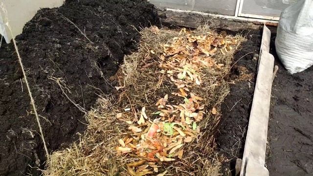 31# Дачный сезон 2022/Как на даче/Теплица для огурцов/Рассада#дача #огород #рассада #сибирь смотреть онлайн