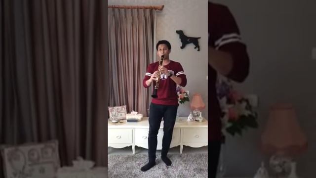 Plaisir D'amour Clarinet смотреть онлайн
