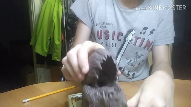 ГОДЗИЛЛА ЗЕМЛЯ ИЗ ПЛАСТИЛИНА SCHET [GAMES] смотреть онлайн