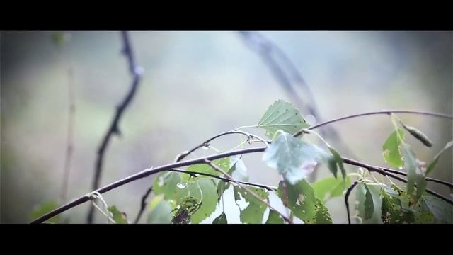 На пределе - 2016 смотреть онлайн