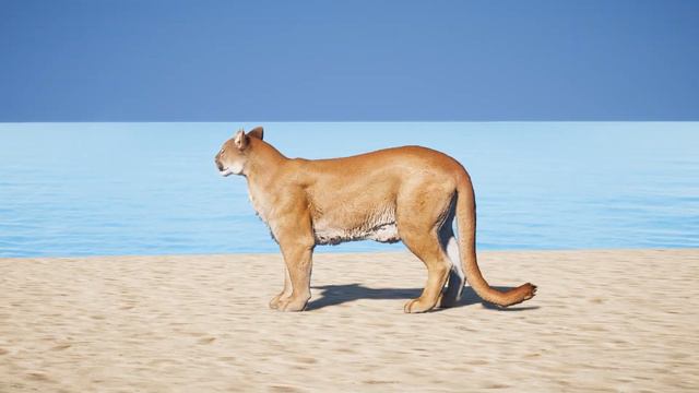 Wolf VS All other Animals in Far Cry 5 смотреть онлайн