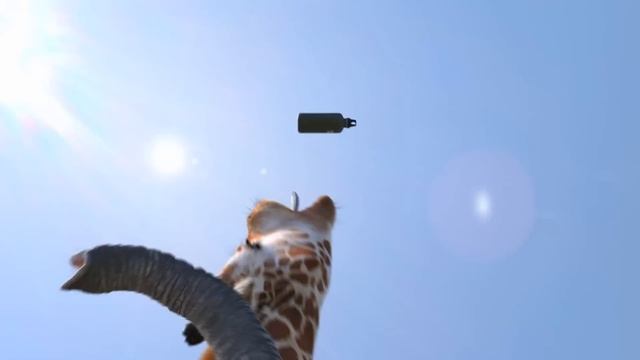 Elephant Vs Giraffe Water Fight