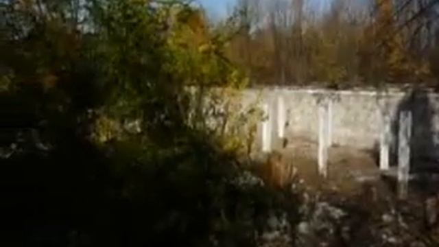 Fialka смотреть онлайн