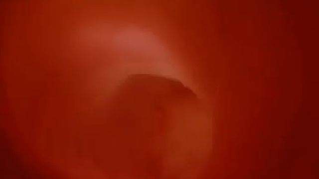 Пищеварение И желчь ВИДЕО смотреть онлайн