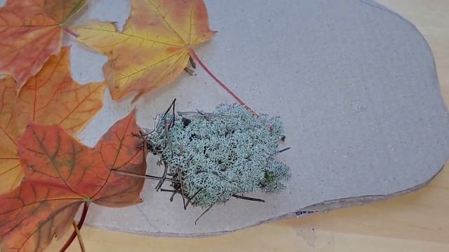 Осення поделка "ЁЖИК на полянке"/Природные материалы смотреть онлайн