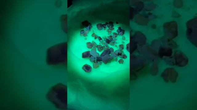 Как ЛЕГКО найти янтарь. СЕКРЕТ РАССКРЫТ смотреть онлайн