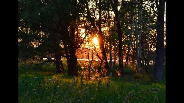 Йога-нидра, relax видео смотреть онлайн