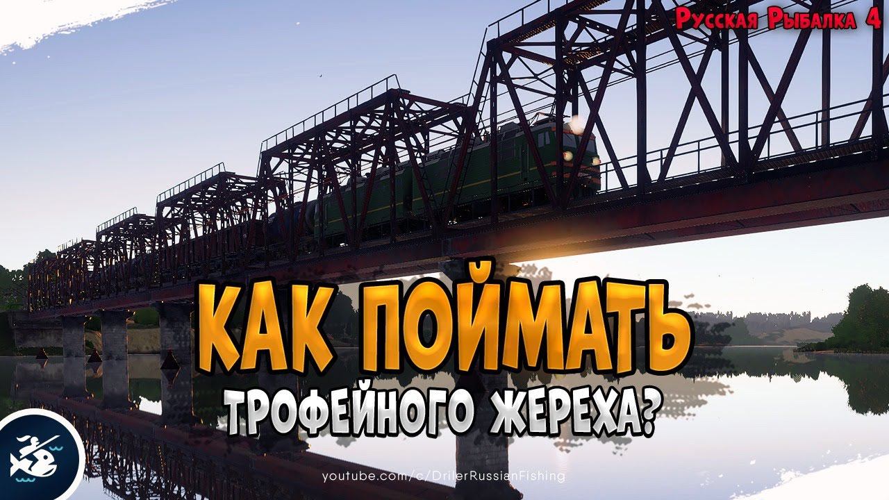 Ловим Жереха • Рыбалка на Волхове и Ахтубе • Driler - Русская Рыбалка 4