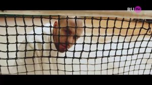 Макс Барских - Туманы Новинки на Music clips Edition