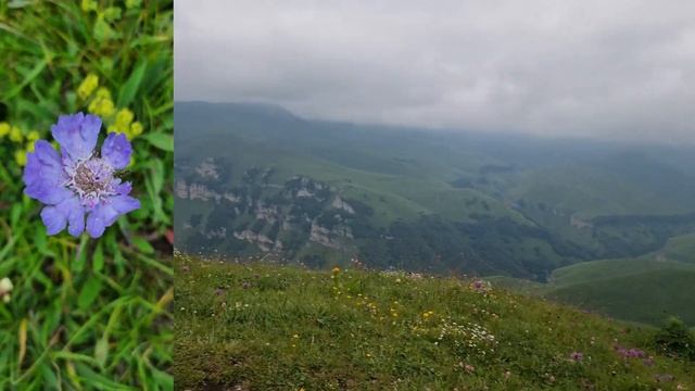 HAVAL 9 в горах Кавказа! Одни Эмоции!!! Неизданное. Дорога на плато Канжол (Кинжал). смотреть онлайн