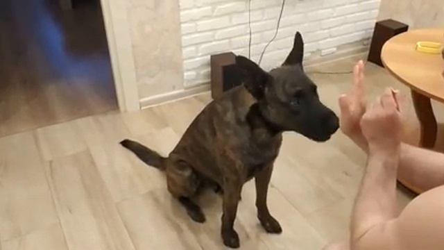 тач 1 смотреть онлайн