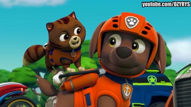 Paw Patrol - Astronomia/Coffin Dance (COVER) [SEASON 2] смотреть онлайн