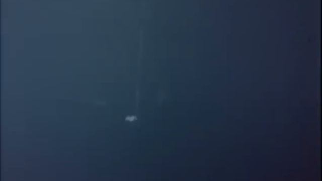 Жак-Ив Кусто 01.1968 Акулы смотреть онлайн