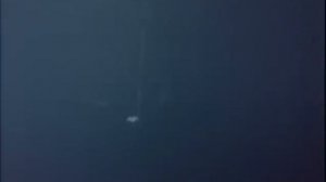 Жак-Ив Кусто 01.1968 Акулы