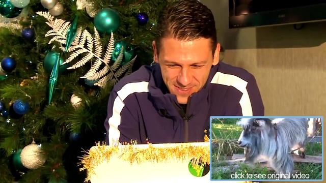 Man City Players React To Funny Animal Videos on YouTube | Man City Advent Calendar 2014 | Day Ten смотреть онлайн