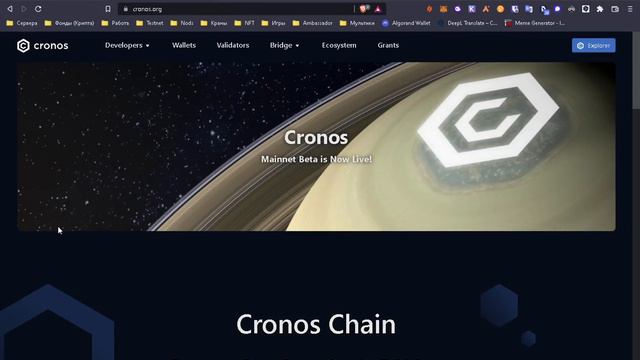 Crodo Ambassador. Cronos результаты за январь 2022