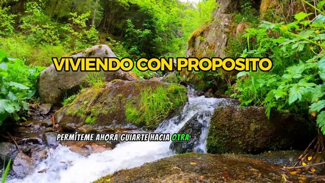 🌟EMPIEZA TU MAÑANA CON ESTAS IMPARABLES DECLARACIONES POSITIVAS - Conny Méndez - YO EXISTO 🌈 смотреть онлайн