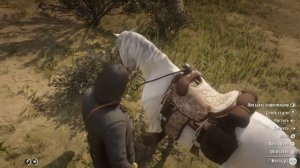 Обзор арабских лошадей в Red Dead Redemption 2