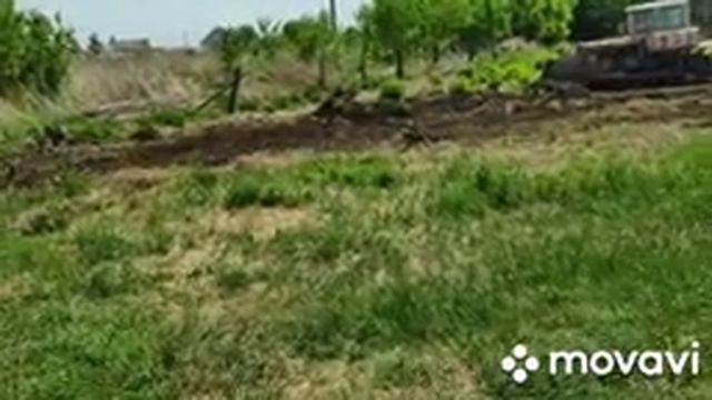 Купили участок в деревне 4. Загнали трактор. Расчистка участка. смотреть онлайн
