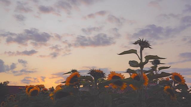 Rainer Maria Rilke Gedicht: Die Nacht смотреть онлайн