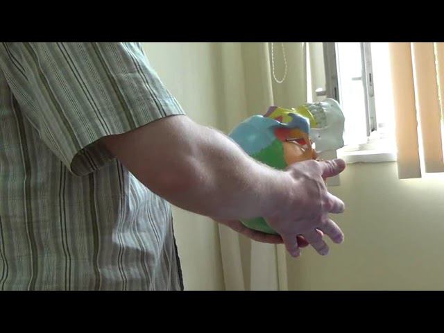 Семинар Краниосакральная терапия 1 КСТ1_19 смотреть онлайн