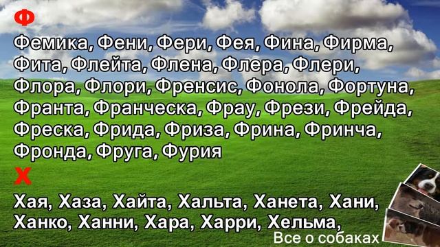 Клички собак. Суки. С-Ч. смотреть онлайн
