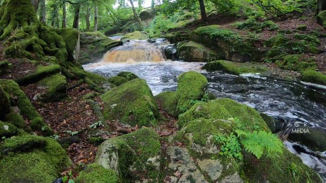 Ireland Wicklow Mountains (4K Ultra HD) | Piano | Nature Video смотреть онлайн