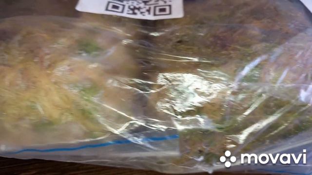 26.04.2023 Будда чудит. Старый мох сменить на новый. смотреть онлайн