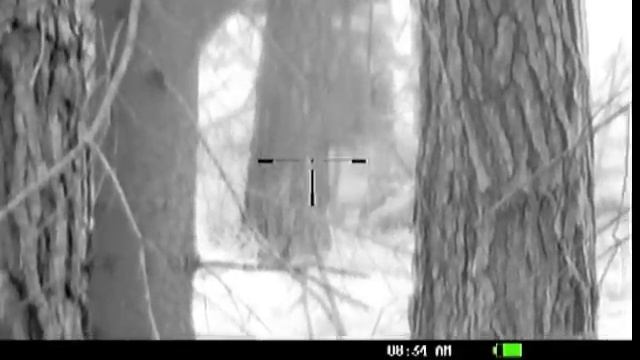 Test Pulsar Digisight 750 with Recorder смотреть онлайн