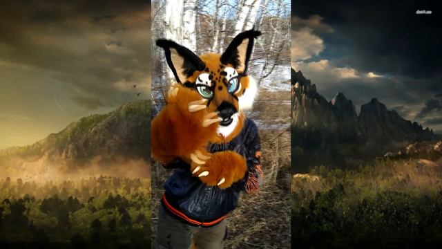 The partial fursuit lynx. смотреть онлайн