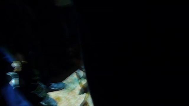 Экскурсия в музей воды смотреть онлайн