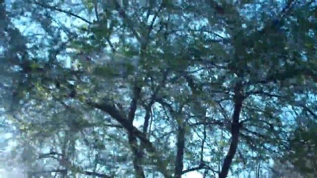 Прогулка по парку.mp4 смотреть онлайн